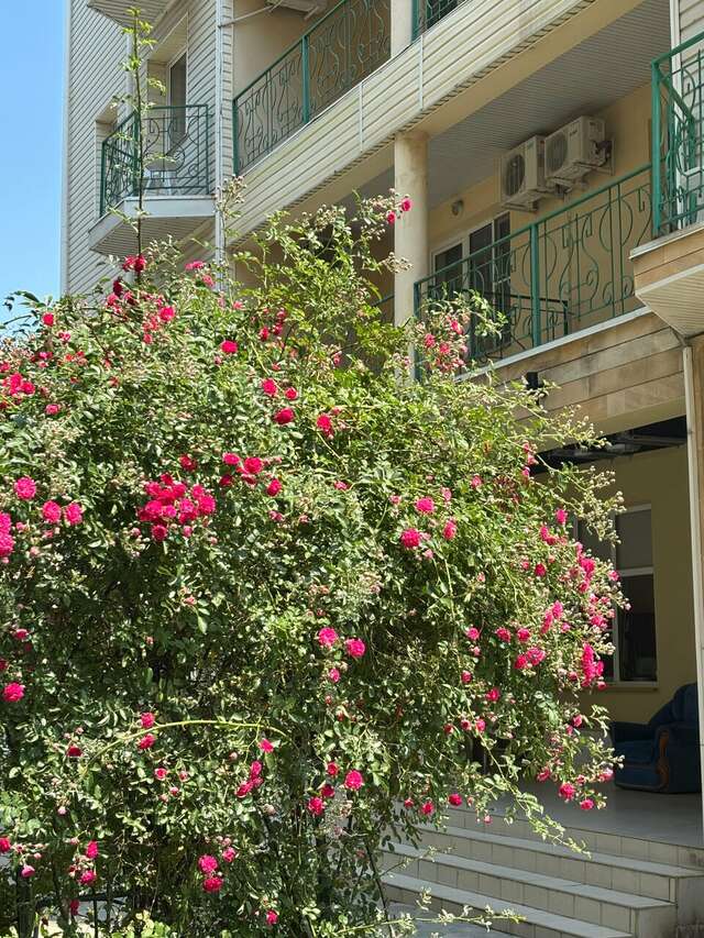 Гостиница Velara Анапа-35